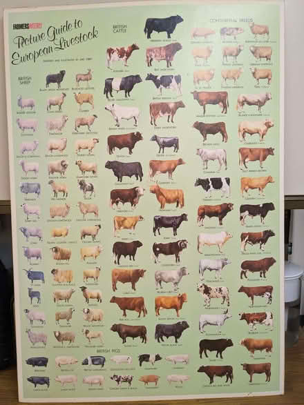 Photo of free Board mounted Livestock Poster (Caversham Park RG4) #1