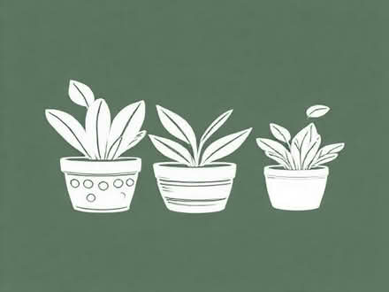 Photo of Plant pots (Broadcylst EX5) #1