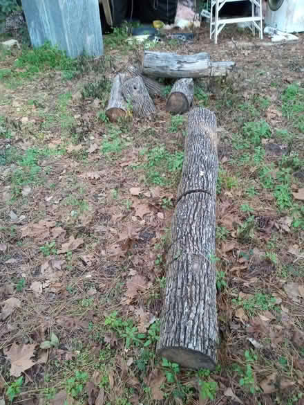 Photo of free firewood (Hwy 20 @ Capital Cir) #2
