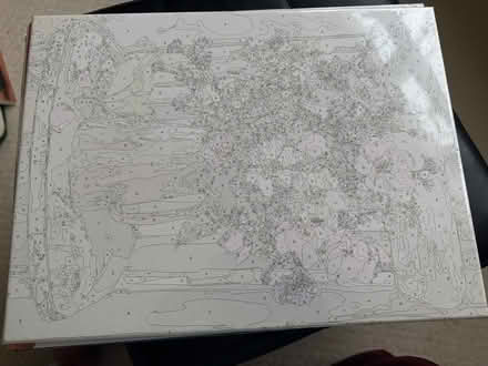 Photo of free Painting by numbers kit (Sundon Park LU3) #2