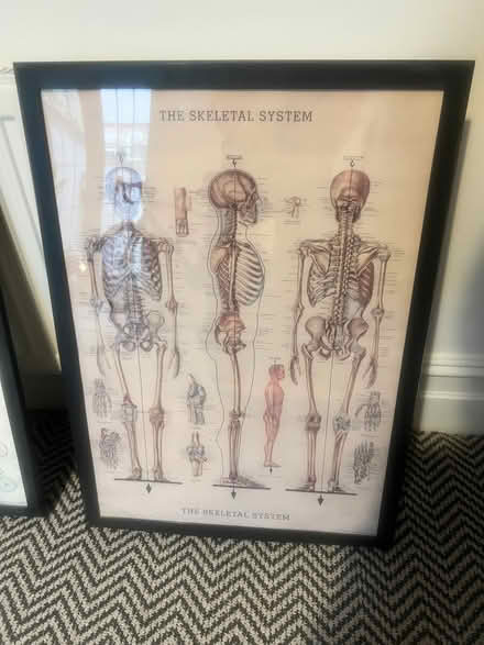 Photo of free Pictures (Liverpool L17) #1