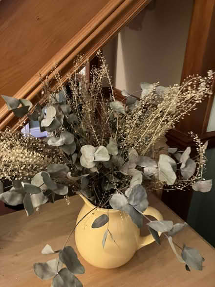 Photo of free Dried flowers (Goffs Oak EN7) #1