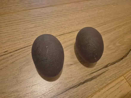 Photo of free Egg shaped squashy therapy balls (Bexleyheath DA7) #1