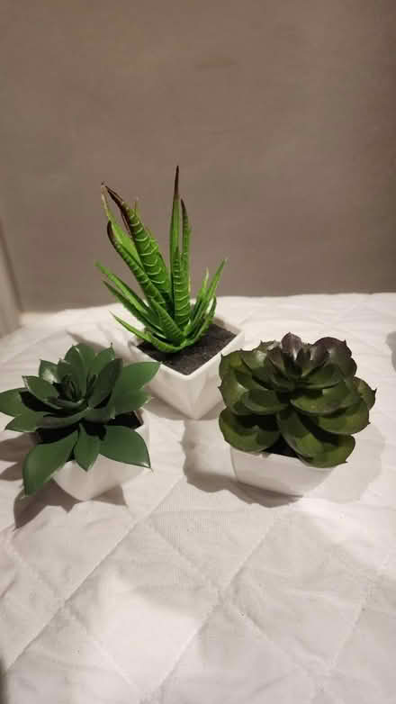 Photo of free Small artificial pots (Swindon SN1) #1