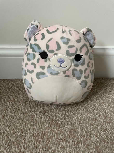 Photo of free Squishmallow (Appleton) #1