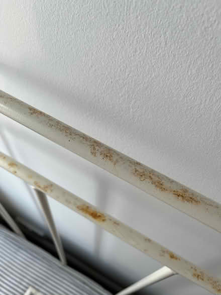 Photo of free Single bed (Kemptown BN2) #3