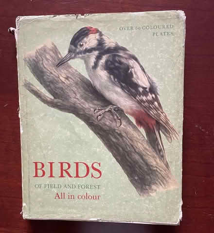 Photo of free Book of Birds (GU14) #1