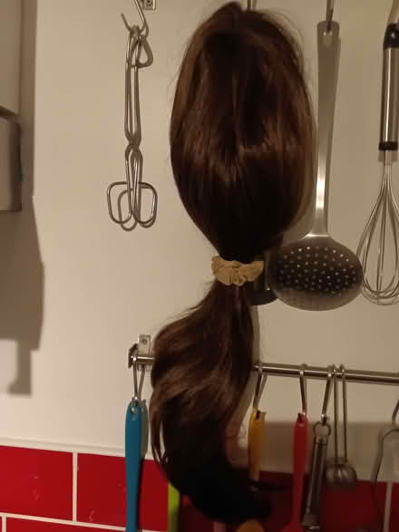 Photo of free ladies wig (Northop Hall CH7) #1