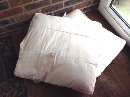 Photo of free Large feather cushions (Upper Bevendean BN2) #1