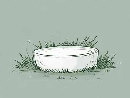 Photo of Artificial grass (Livingston EH54) #1