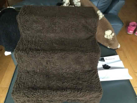 Photo of free Dog steps (Sandown PO36) #1