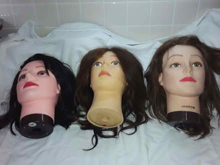 Photo of free Three model hairdressing heads (Dyke Road area BN1) #4