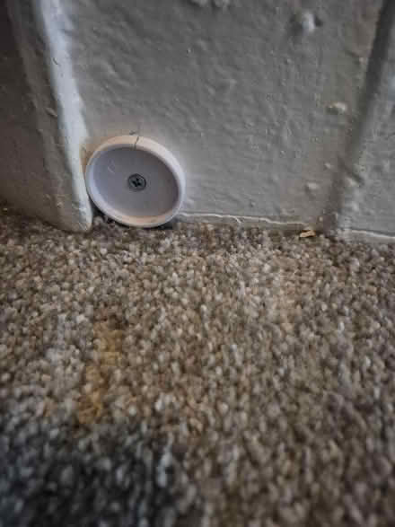 Photo of free Child/pet gate (Sheering CM22) #2