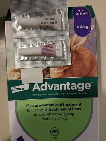 Photo of free Spot-on flea treatment for cats (Bentham LA2) #1