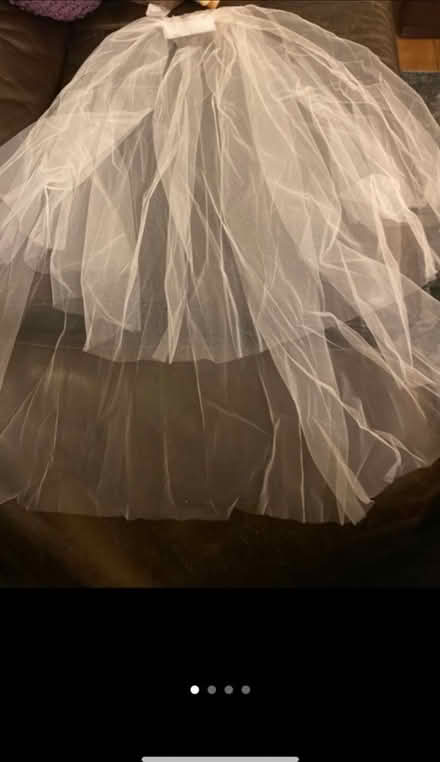 Photo of free Net Veils x 4 (Cheshunt En8) #1