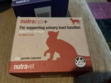 Photo of free Nutracys + capsules for dogs/cats (Micklefield HP13) #1