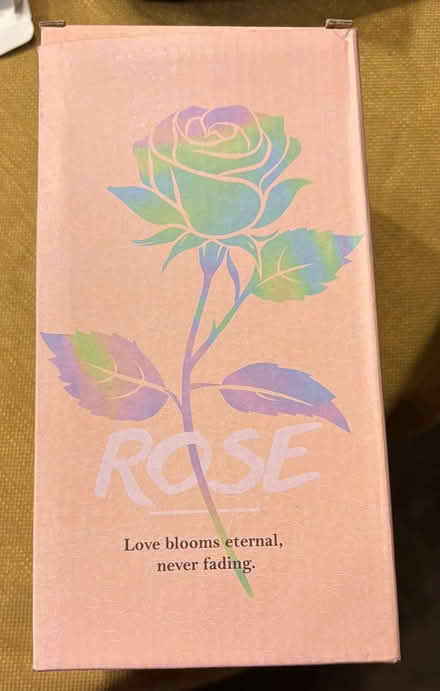 Photo of free LED rose in glass dome (Kenmore) #1