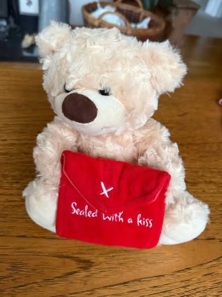 Photo of free Teddy bear (Five Mile Drive OX2) #1