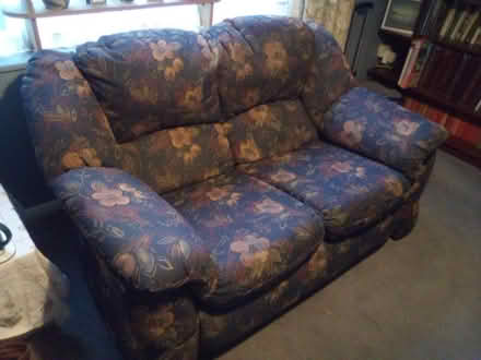 Photo of free 2 seater settee (witley GU8) #1