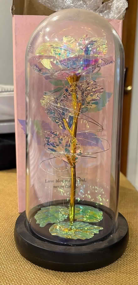 Photo of free LED rose in glass dome (Kenmore) #2