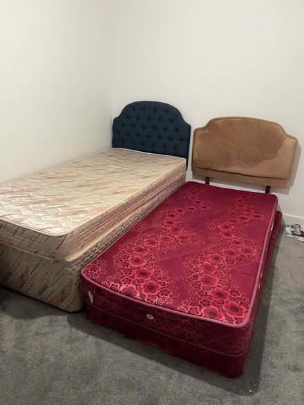 Photo of free 2 Single beds (TF1) #1