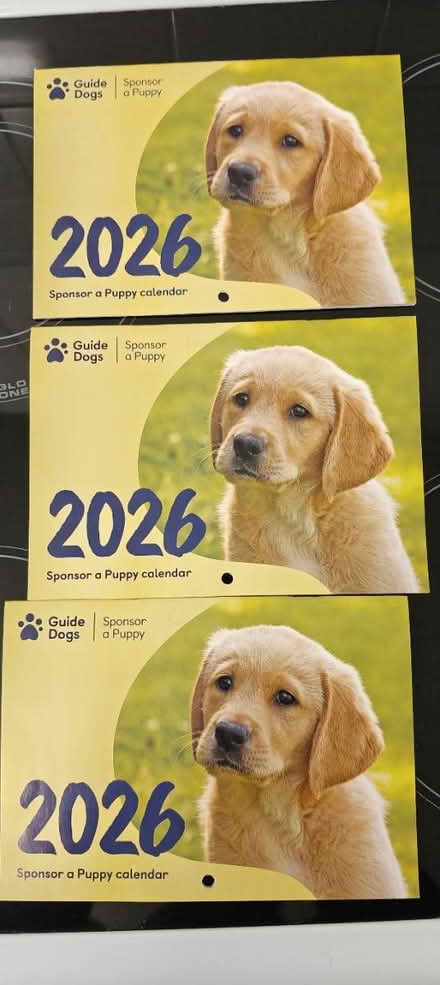 Photo of free 2026 calendars, x3 (Stockwell SW9) #1