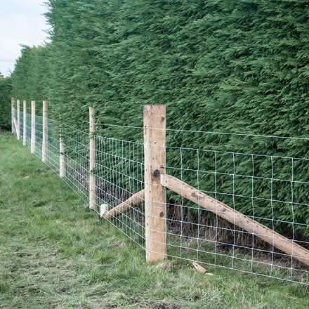 Photo of Galvanised Stock Fencing - just a few metres (Leegomery TF1) #1