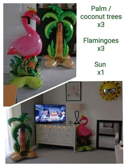 Photo of free tropical themed foil balloons (B64, Cradley Heath) #1
