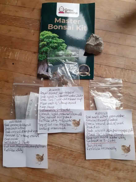 Photo of free Bonsai seeds (Slack Lane DE22) #1