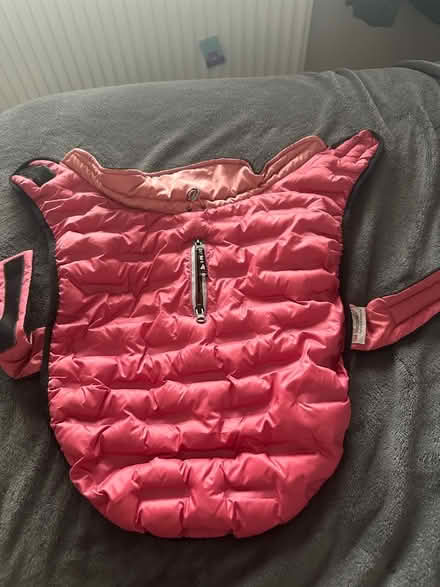 Photo of free Medium sized dog coat, pink. (Lea Industrial Estate AL5) #1