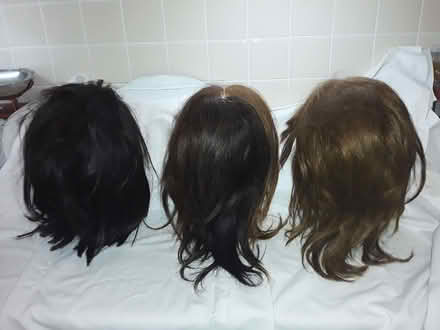 Photo of free Three model hairdressing heads (Dyke Road area BN1) #3