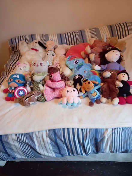 Photo of free lots of soft toys (Southwick BN42) #1