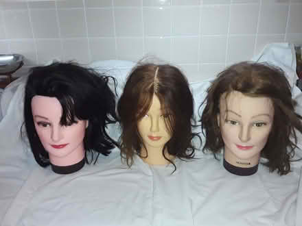 Photo of free Three model hairdressing heads (Dyke Road area BN1) #2