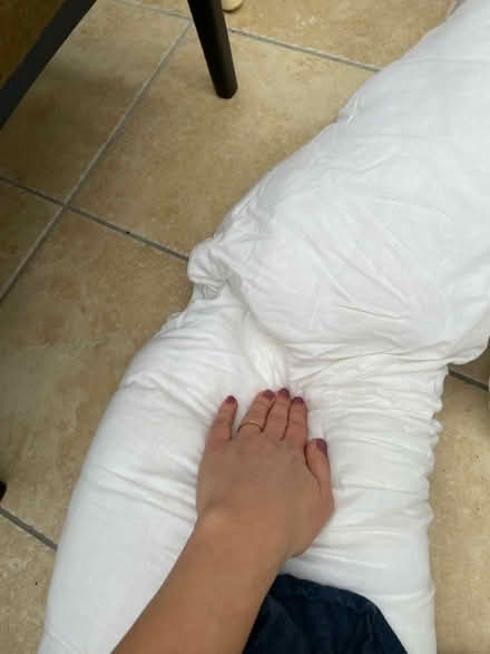 Photo of free Pregnancy pillows (ME13) #3