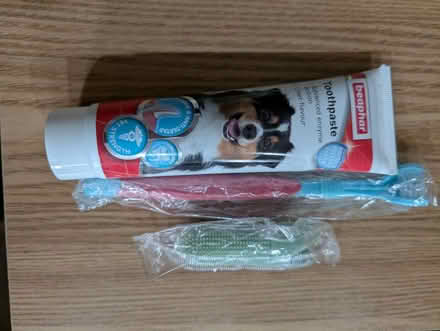 Photo of free Doggy toothpaste and brush (yapton) #1