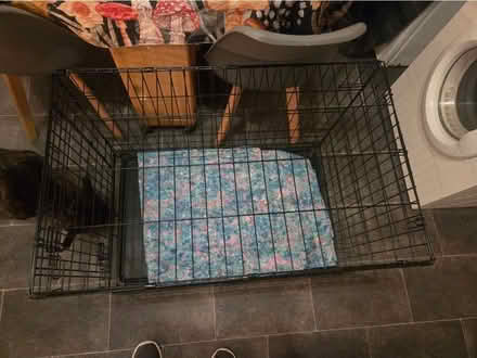 Photo of free Medium dog cage (Saint Ninians FK7) #2