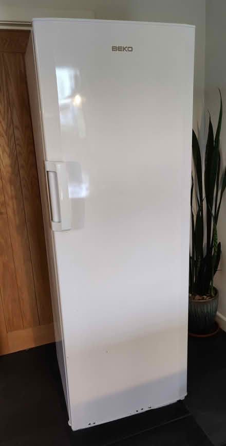 Photo of free Beko Tall Freezer working (Wimborne) #2