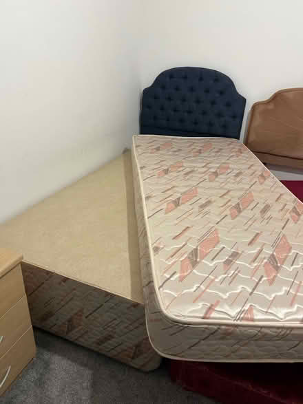 Photo of free 2 Single beds (TF1) #3