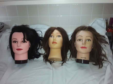 Photo of free Three model hairdressing heads (Dyke Road area BN1) #1