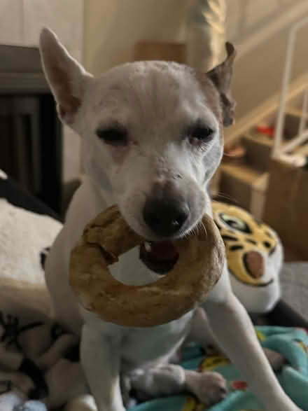 Photo of Firewood (Northwest suburbs) #1