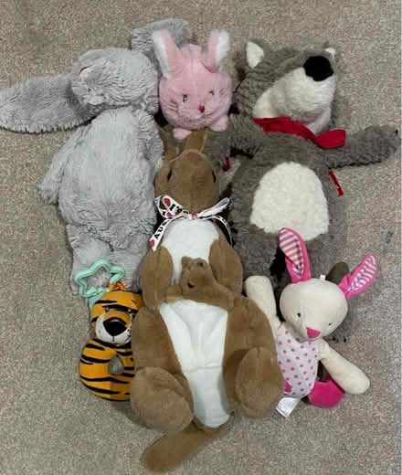 Photo of free Selection of cuddly toys (SM4) #1
