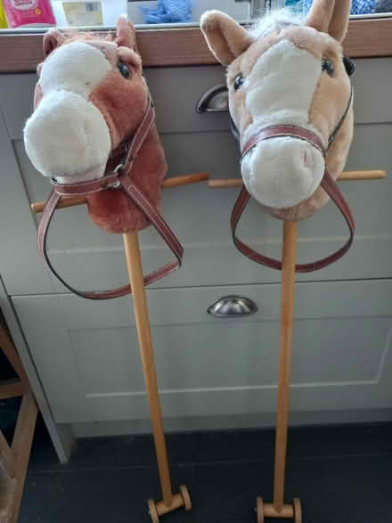 Photo of free 2 x Hobby Horses (Roundhill area brighton) #1