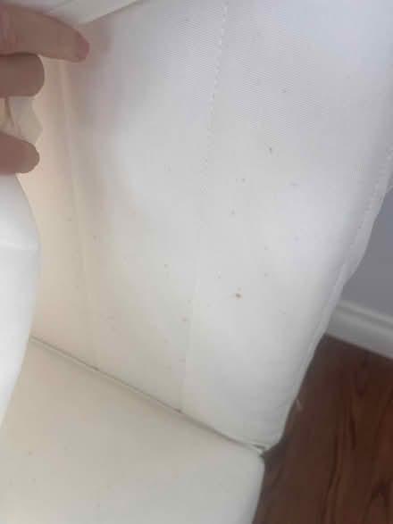 Photo of free IKEA PS range sofa bed (View Ridge) #1