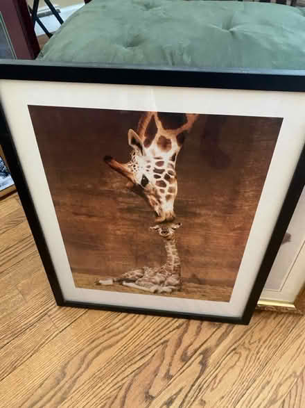 Photo of free Framed art x 3 (Royal Oak, MI) #3