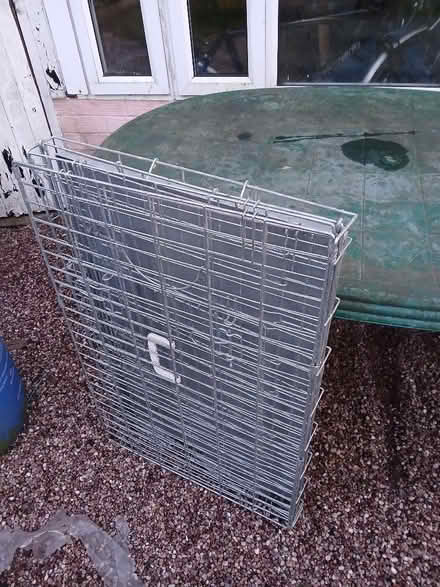 Photo of free Dog crate medium soze (Millfields CW5) #1