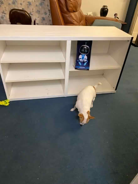 Photo of free Shelving cabinet (Brentford TW8) #1