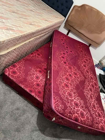 Photo of free 2 Single beds (TF1) #2