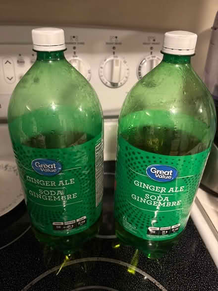 Photo of free 2 bottles ginger ale (L5L 5P5) #1