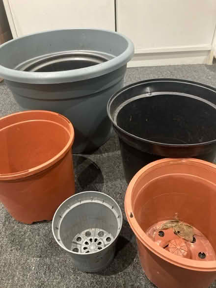 Photo of free 6 pots n rich soil (Edgware) #1