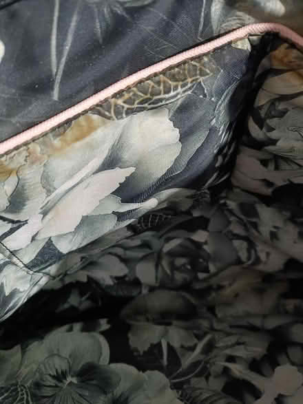 Photo of free Ted baker handbag (Gorebridge EH23) #4